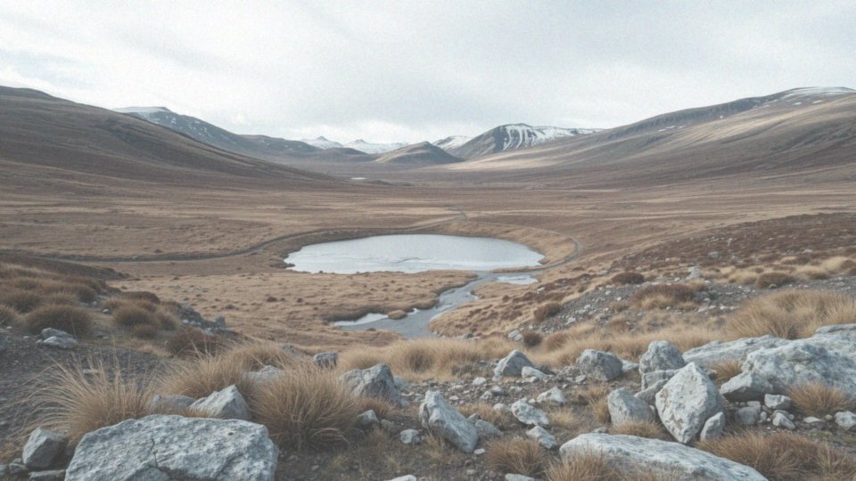 Jakie są średnie temperatury w Patagonii miesięcznie?