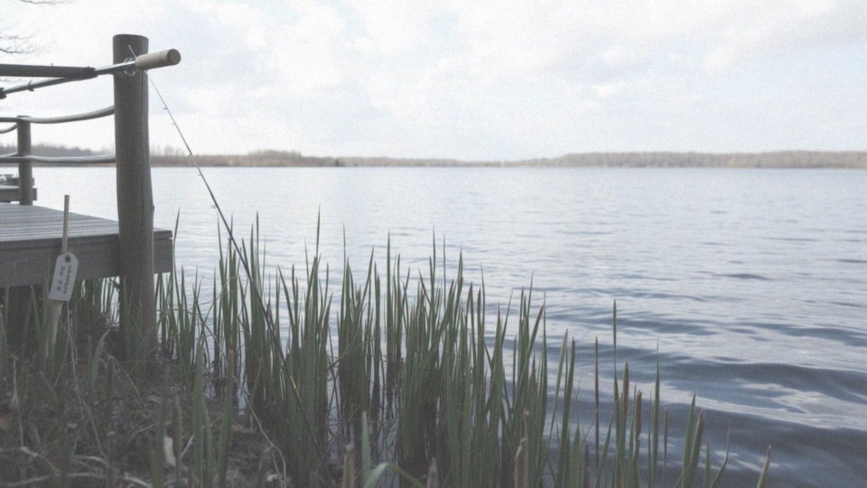 Jakie są zasady dotyczące połowu szczupaka?